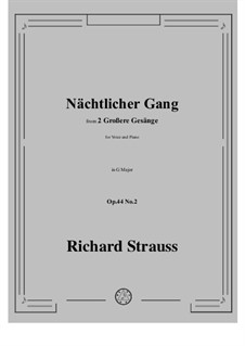 No.2 Nächtlicher Gang: G Major by Richard Strauss