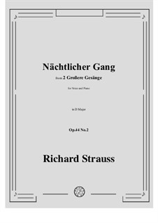 No.2 Nächtlicher Gang: D Major by Richard Strauss