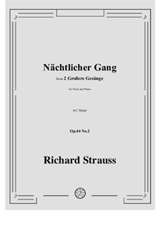 No.2 Nächtlicher Gang: C-Dur by Richard Strauss