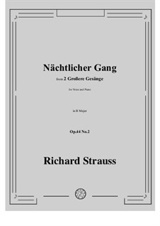 No.2 Nächtlicher Gang: B Major by Richard Strauss