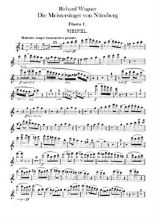 Vollständiger Oper: Flötenstimme by Richard Wagner