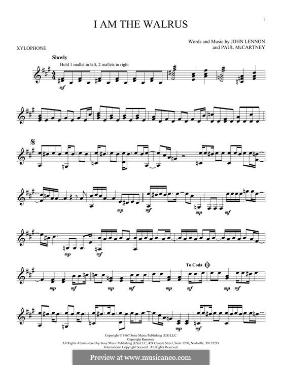 I am the Walrus (The Beatles): For xylophone by John Lennon, Paul McCartney