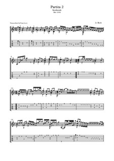 Partita für Violine Nr.2 in d-Moll, BWV 1004: Sarabande. Arrangement for guitar by Johann Sebastian Bach