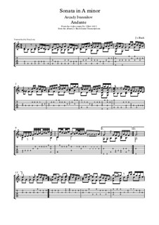 Sonate für Violine Nr.2 in a-Moll, BWV 1003: Andante. Arrangement for guitar by Johann Sebastian Bach