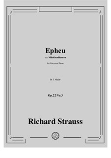Mädchenblumen, Op.22: No.3 Epheu in E Major by Richard Strauss