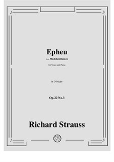 Mädchenblumen, Op.22: No.3 Epheu in D Major by Richard Strauss