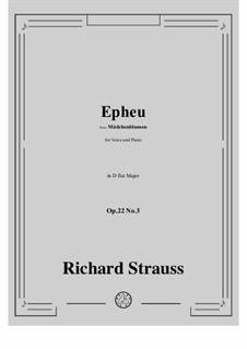Mädchenblumen, Op.22: No.3 Epheu in D flat Major by Richard Strauss