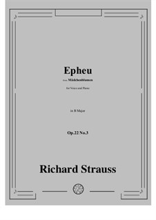 Mädchenblumen, Op.22: No.3 Epheu in B Major by Richard Strauss