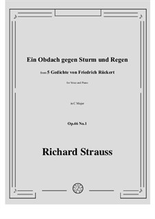 No.1 Ein Obdach gegen Sturm und Regen: C-Dur by Richard Strauss