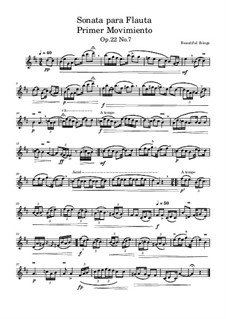 Sonata para Flauta, Op.22 No.7: Primer Movimiento by Beautiful things Martínez