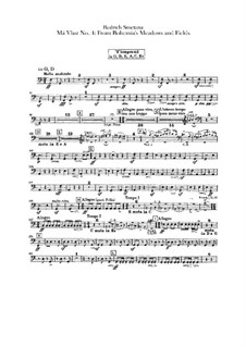 Aus Böhmens Hain und Flur, T.114: Schlagzeugstimmen by Bedřich Smetana