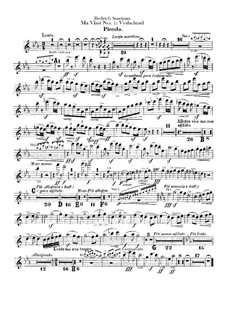 Vyšehrad, T.110: Flötenstimmen by Bedřich Smetana