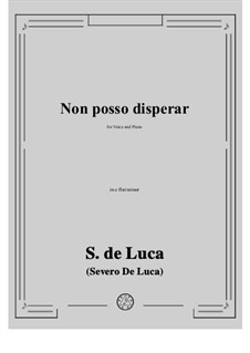 Non posso disperar: E flat minor by Sergio de Luca