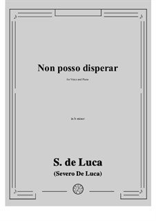 Non posso disperar: B minor by Sergio de Luca