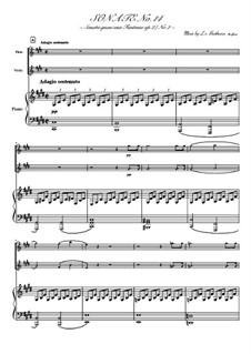 Teil I: For flute, violin and piano by Ludwig van Beethoven