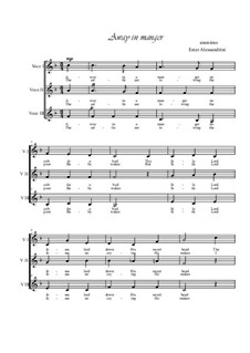Vocal version: Für Chor by folklore