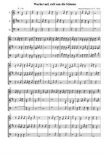 Wachet auf, ruft uns die Stimme: Für Flöte, Klarinett und Fagot by Michael Praetorius