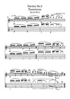 Partita No.2: Tametzona, Op.24 No.5 by Beautiful things Martínez