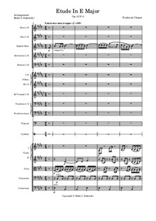 Nr.3 in E-Dur: For symphonic orchestra by Frédéric Chopin