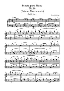Sonata para Piano No.20, Op.25 No.1: Primer Movimiento by Beautiful things Martínez