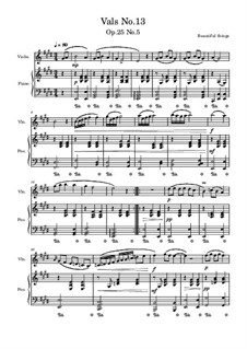 Vals No.13, Op.25 No.5: Vals No.13 by Beautiful things Martínez