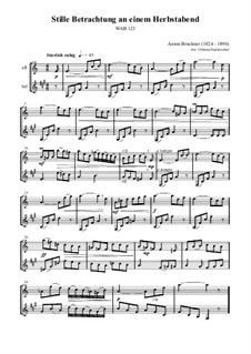 Stille Betrachtung an einem Herbstabend, WAB 123: For alto flute and bass clarinet by Anton Bruckner