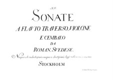 Zwölf Sonaten für Flöte und Basso Continuo, BeRI 201-212: Zwölf Sonaten für Flöte und Basso Continuo by Johan Helmich Roman