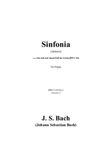 Ich steh mit einem Fuss im Grabe, BWV 156: Sinfonia (Arioso) by Johann Sebastian Bach