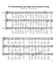 Vocal-instrumental version: SAB by folklore