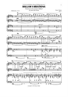Hallam Variations, Op.67: Hallam Variations by Bruno Vlahek