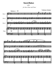Вальс 'Снежинки': Вальс 'Снежинки' by Vladimir Solonskiy