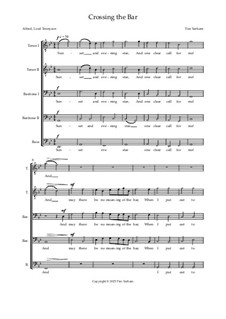 Crossing the Bar: Crossing the Bar by Tim Yarham