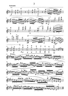 Caprice No.3: Für Violine by Niccolò Paganini