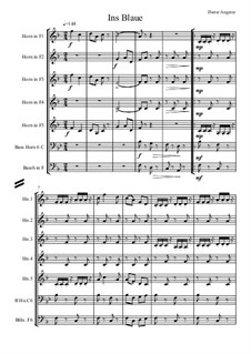 Ins Blaue, Op.210: Ins Blaue by Dieter Angerer