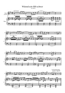 Wütend sein fällt schwer (cl, p): Wütend sein fällt schwer (cl, p) by Karl Melzer