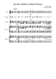 An der schönen blauen Donau, Op.314: For chamber orchestra by Johann Strauss (Sohn)