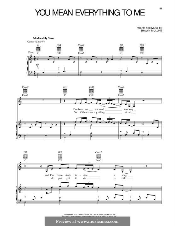 You Mean Everything To Me: You Mean Everything To Me by Shawn Mullins