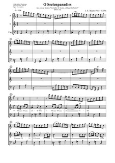 Erschallet, ihr Lieder, erklinget, ihr Saiten!, BWV 172: Nr.4 O Seelenparadies by Johann Sebastian Bach