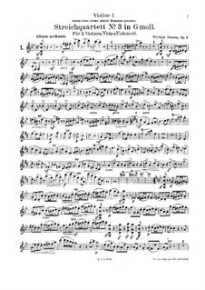 Streichquartett Nr.3 in g-Moll, Op.3: Streichquartett Nr.3 in g-Moll by Wilibald Sommer