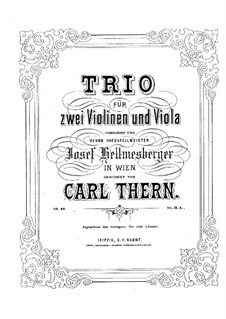 Streichtrio in D-Dur, Op.60: Streichtrio in D-Dur by Carl Thern