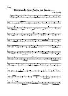 Flammende Rose, Zierde der Erden, HWV 210: Basso Continuo Stimme by Georg Friedrich Händel
