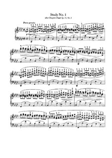 Fünf Studien zu den Themen aus Werken verschiedener Komponisten: Vollsammlung by Johannes Brahms