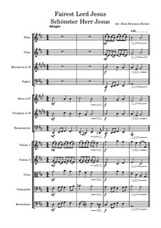 Fairest Lord Jesus: For symphonic orchestra by folklore