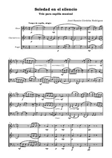 Einsamkeit in der Stille: For clarinet, oboe and bassoon by José Ramón Córdoba Rodríguez