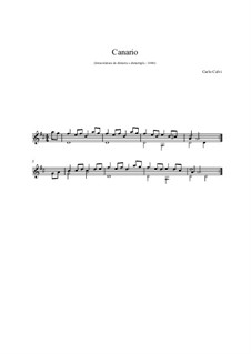 Canario: Für Gitarre by Carlo Calvi