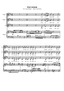 Ein Lächeln: Ein Lächeln by Karl Melzer