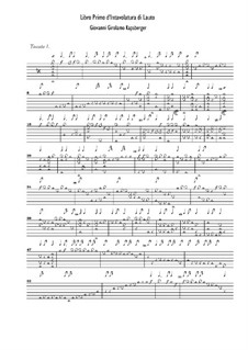 Stücke für Laute: Stücke für Laute by Johann Kapsberger