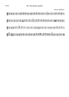 The Honie-suckle: Cantus by Anthony Holborne