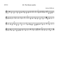 The Honie-suckle: Quintus by Anthony Holborne