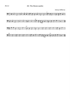 The Honie-suckle: Bassus by Anthony Holborne